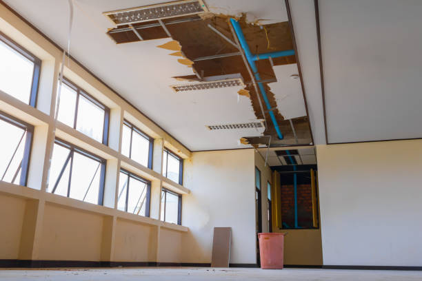  Mclendon Chisholm, TX Water damage restoration Pros