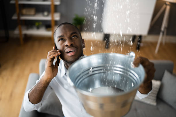 Best Water damage cleanup near me  in Mclendon Chisholm, TX