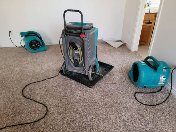 Best Residential water damage restoration  in Mclendon Chisholm, TX