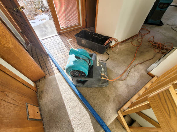 Local water damage restoration in Mclendon Chisholm, TX