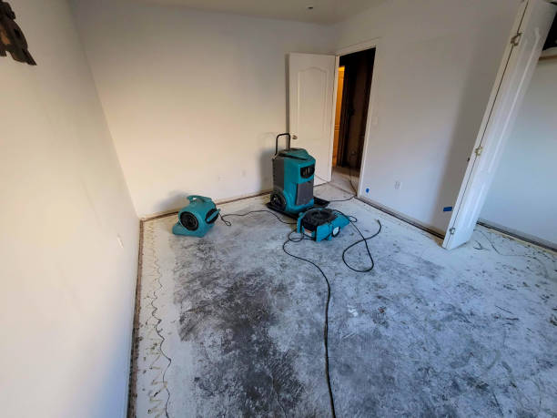 Mclendon Chisholm, TX Water damage restoration Company