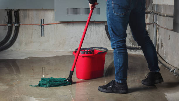 Best Professional water damage repair  in Mclendon Chisholm, TX