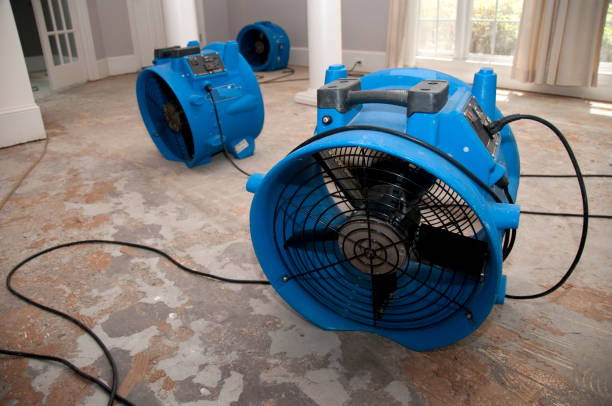 Best Water damage restoration process  in Mclendon Chisholm, TX