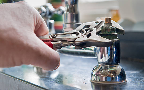 Best Professional water damage repair  in Mclendon Chisholm, TX