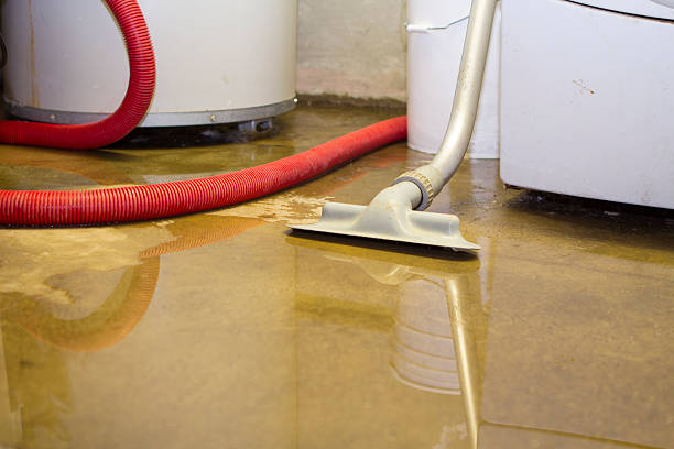 Best Water damage contractors near me  in Mclendon Chisholm, TX
