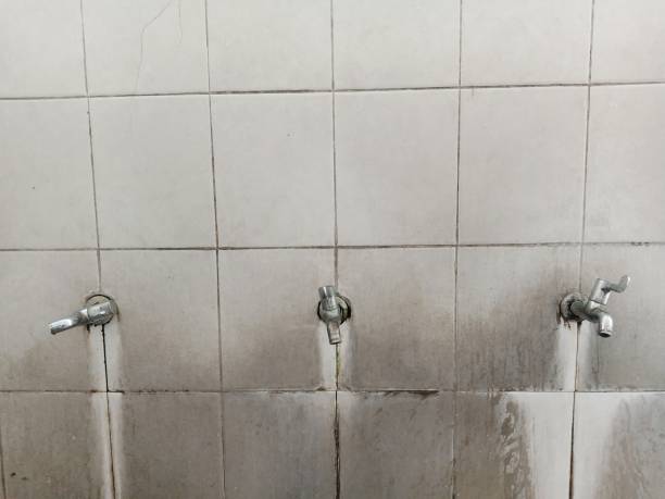 Best Carpet water damage restoration  in Mclendon Chisholm, TX
