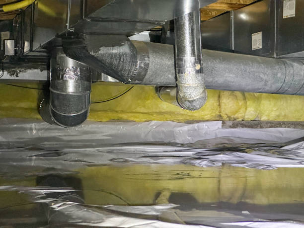 Best Mold removal after water damage  in Mclendon Chisholm, TX