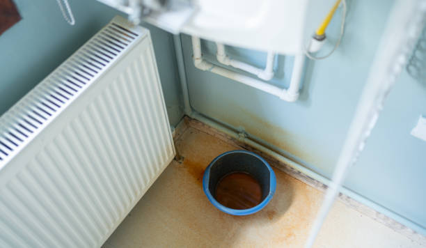 Best Local water damage restoration  in Mclendon Chisholm, TX