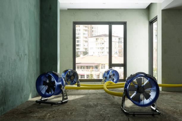 Sewage cleanup and water damage restoration in Mclendon Chisholm, TX